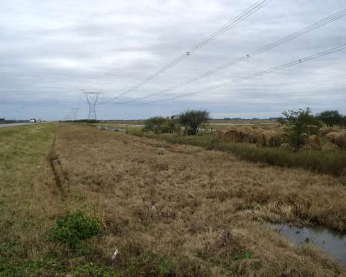 Ceibas, Entre Ríos - 496,5 Ha
