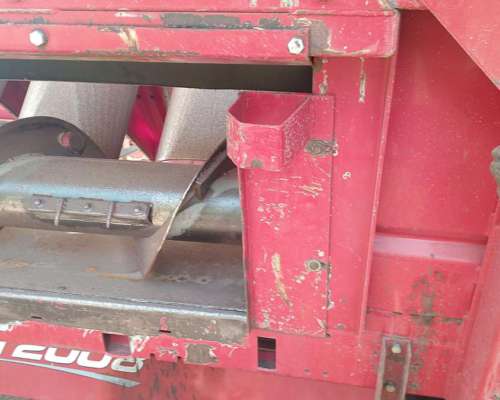 Maicero Ombu de 14 a 52