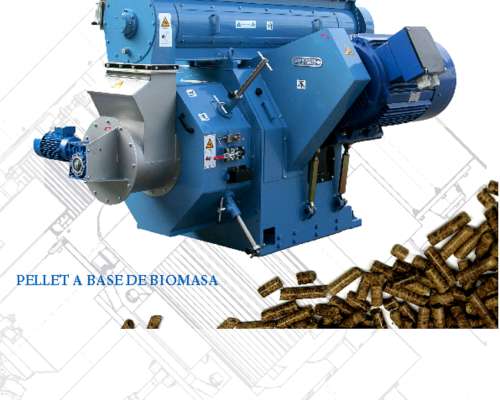 Munch Pelletizadoras Lineas Completas Www.muench-ede
