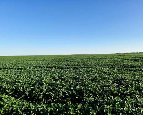 Excepcional Estancia Agrícola 3580 HA. Premium en Quimili