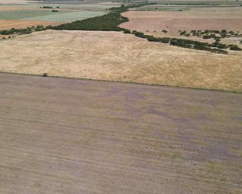 280 Hectáreas Agrícolas, Todas las Mejoras. Gualeguaychú.