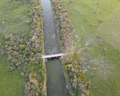 590 Ha - San Genaro (santa FE) - Ganadero