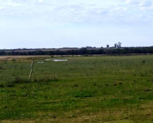 Vendo Campo Mixto Sobre Ruta
