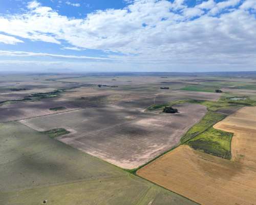 Pcia. de Cordoba - Sampacho 601 Has