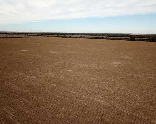 Sachayoj 850 Hectáreas Agricolas