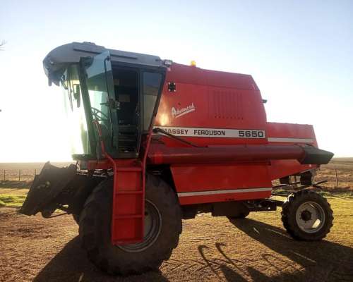 Cosechadora Massey Ferguson 5650, 2wd, Paton, 19 Píes, 2003