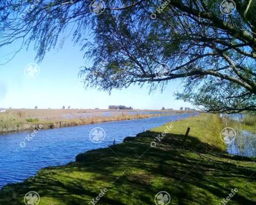 Campo en Venta 460 Has en Rauch