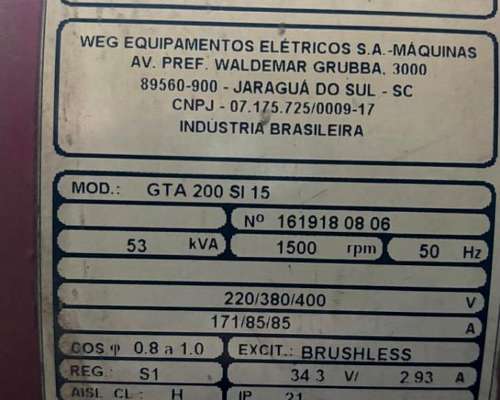 Generador 53 KVA . WEG Motor Wauhesha a GLP Ó GN
