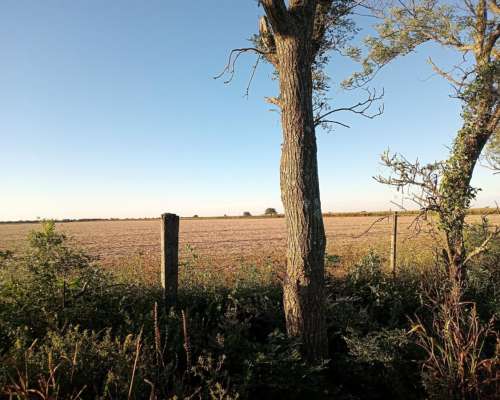 37.5 Ha en Venta en Piquillín
