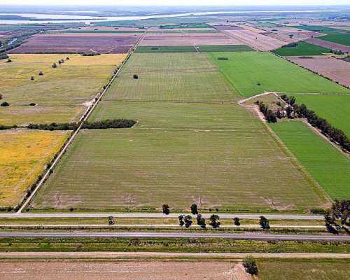 Campo 90 Has en Pavon, Santa FE 🌻🐄☘️