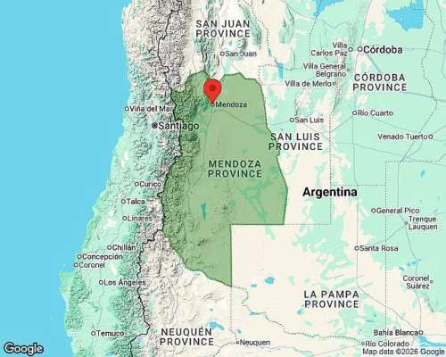 8,5 Hectáreas con Casa y Pozo, las Violetas Lavalle Mendoza