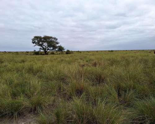 Se Vende Y/O Alquila Campo en Provincia de Santa FÉ