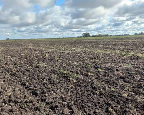 230 Hectareas Campo Agricola