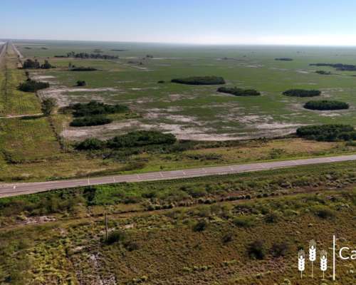 Venta Campo 4.273,7 Has para Siembra a 70 km al Este Tostado