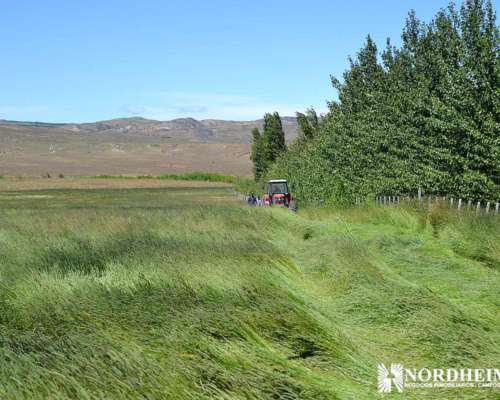 Rio Pico, Chubut - 2.700 Ha