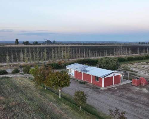 El Carrizal, Lujan de Cuyo, Mendoza - 359 Ha