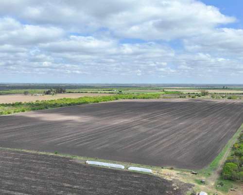 Pcia. de Entre Rios - Maria Grande 526 Has