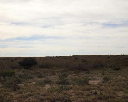 11.286 Has. Curaco - la Pampa