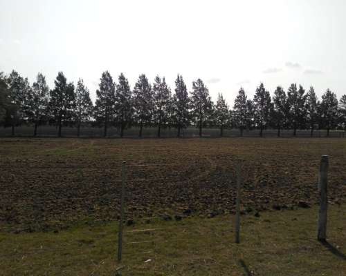 115 Hectareas Agricolas Villaguay