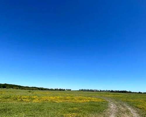 Venta Oportunidad Part. de Baradero Campo con Muchas Mejoras