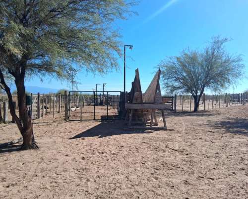 Campo Ganadero Pampas Blancas, en la Rioja, 11500 Has