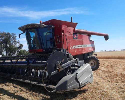 Cosechadora Massey Ferguson 9690