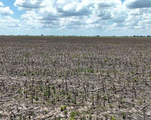 1380 Has. Campo Mixto S/ Ruta 7 en San Andres de Giles