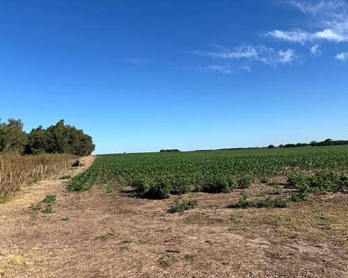 Campo en Venta San Pedro Buenos Aires