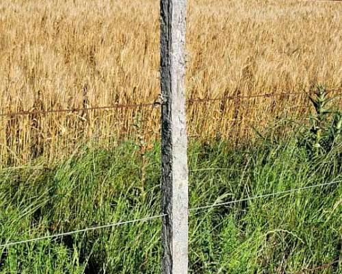 Campo Agrícola en Dto. Uruguay, Entre Ríos