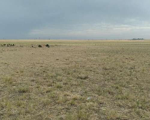 Vendo 400 Has Partido Villarino Norte