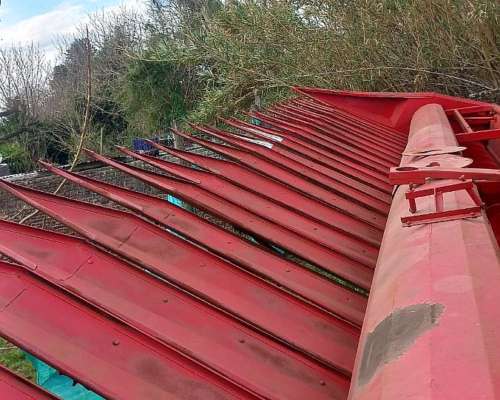 Girasolero Mainero de 16 a 52