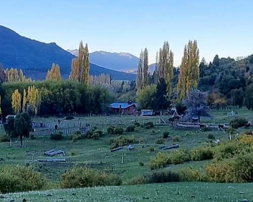 Venta Campo 291 Hectareas en Lago Rivadavia Cholila Chubut