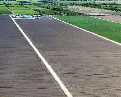 Finca de 49 Ha en Montecaseros