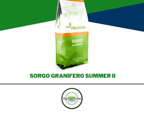 Semilla de Sorgo Summer II