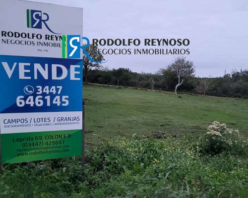 Lote en Venta – Autovía Ruta 14 Colón