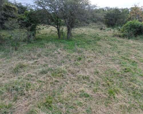 227 HA. Ganadero. Monigotes (santa Fe).