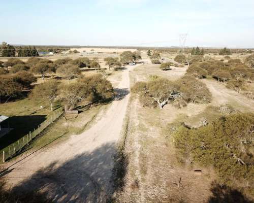 Mil Has. Ganadero Sobre Asfalto