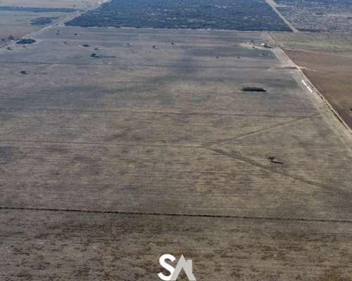 Alquila: Campo Agrícola de 1000 Ha en “EL Tala” la Pampa