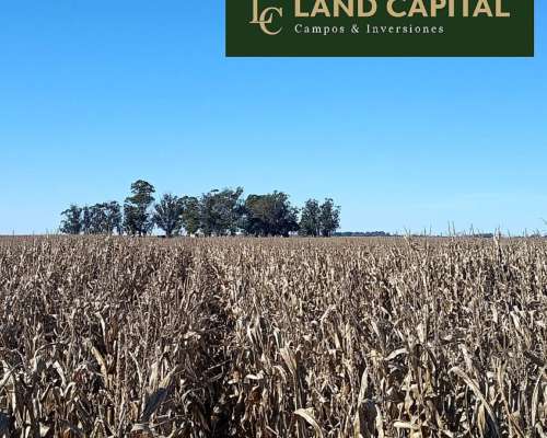 207 Ha Agricola Ganadero-vivorata
