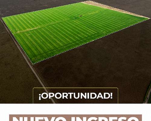 Santa Clara de Buena Vista 73 Has. Campo en Venta