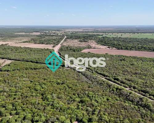 Campo en Venta de 385 Ha en Joaquín V. González, Salta