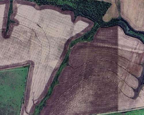 Villa Elisa Entre Rios Campo Agricola y Ganadero