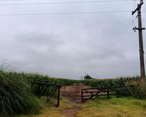 Campo en Venado Tuerto