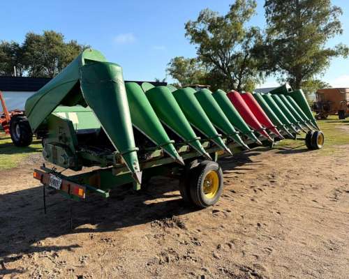 Maicero Ombu de 13 a 52