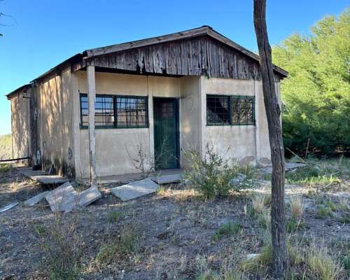 4855 HS. Ganaderas en Algarrobo (BS As).