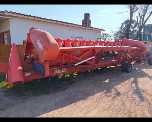 Maicero Ombú 14 a 52 año 2010