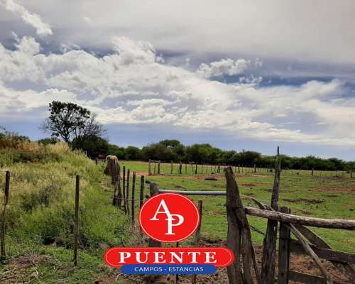 En Venta 2500 HA. Carro Quemado, la Pampa