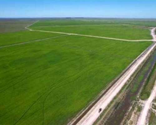 Arrendamiento Establecimiento Corrientes Zona Norte