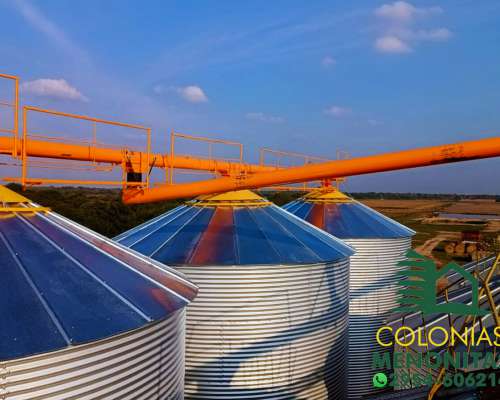 Planta Automática de Silos con Sinfines-colonias Menonitas