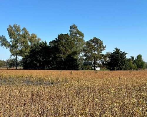 San Andres de Giles, Buenos Aires - 28,3 Ha